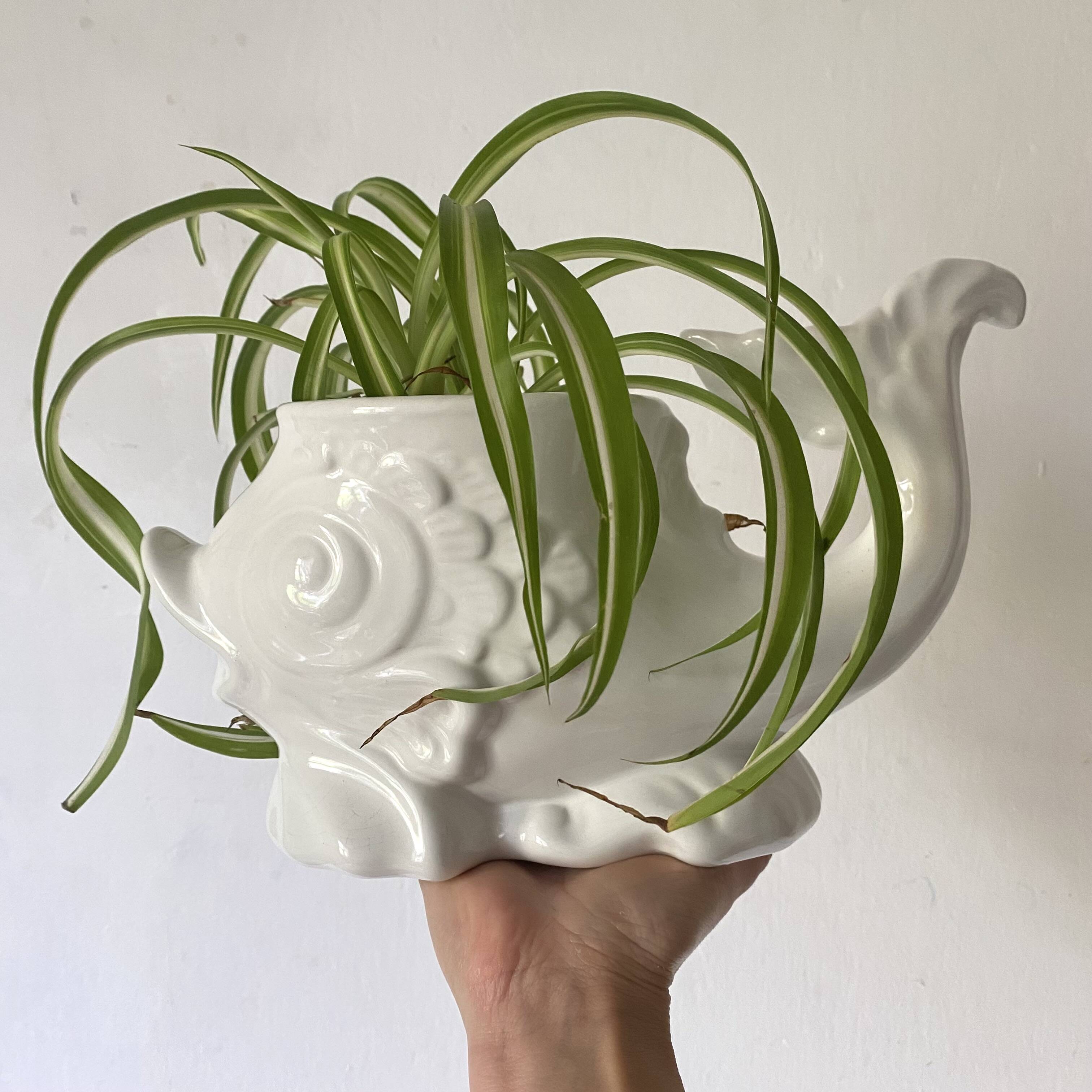 Zoomorphic fish pot cover in slip