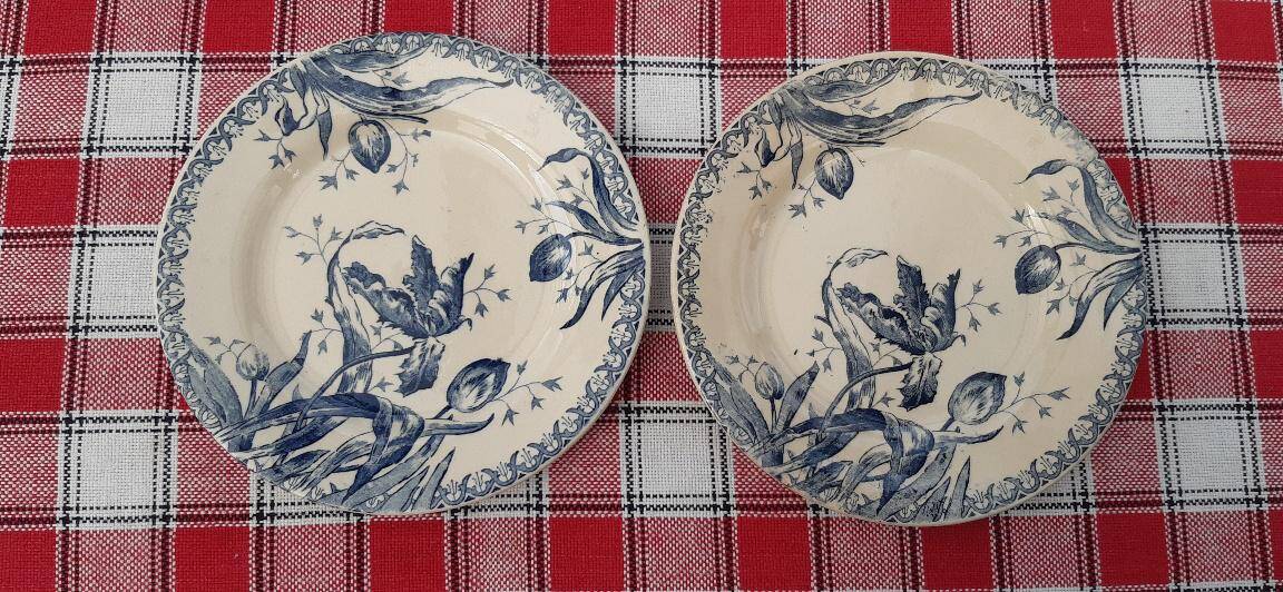 Set of 6 antique ironstone plates