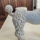 Mid-century poodle