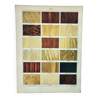 Gravure ancienne 1898, Essences de bois 1, menuiserie • Lithographie, Planche originale