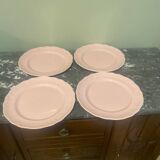 4 Salins pink flat plates