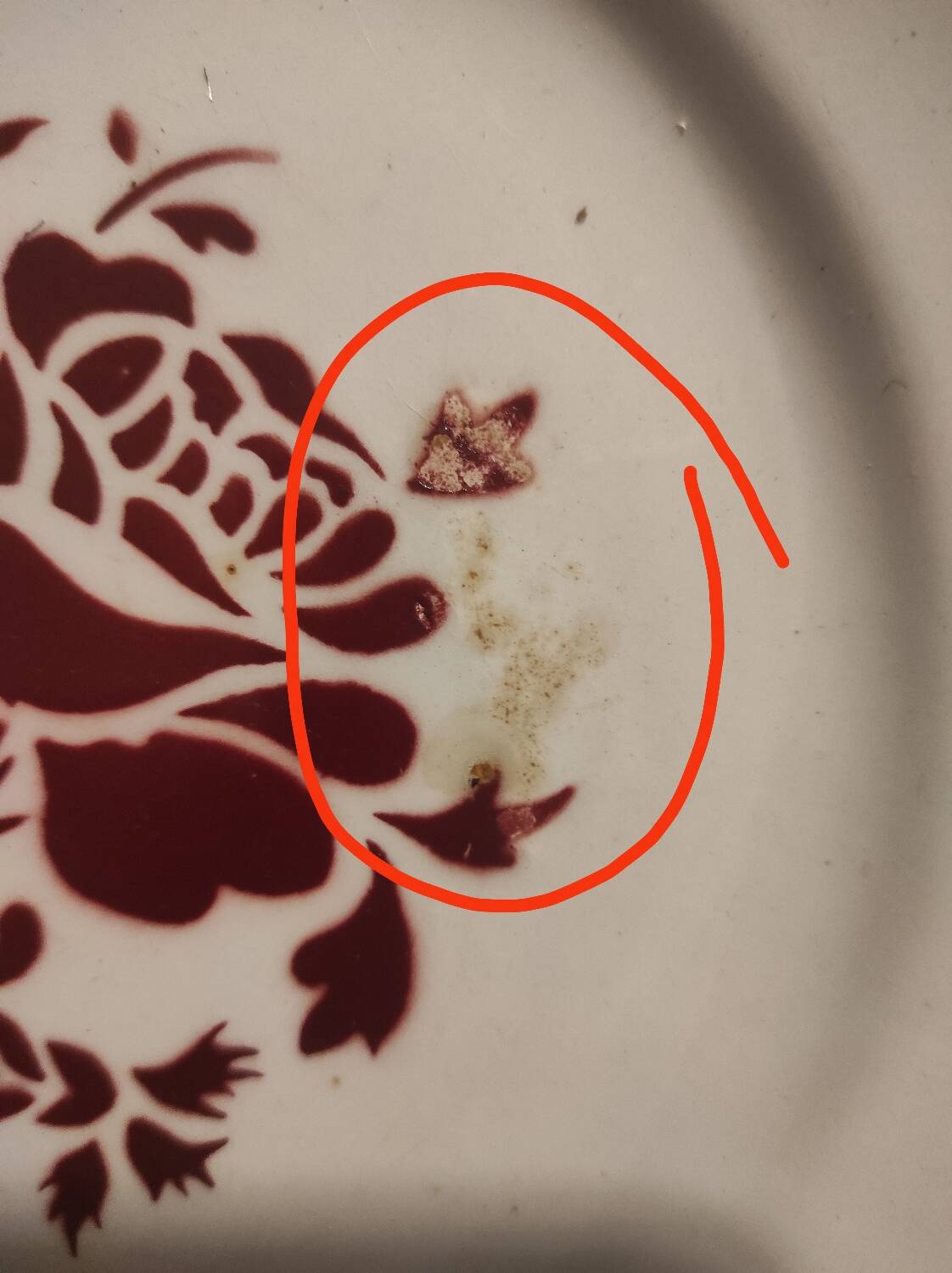 6 Lunéville plates 22 cm