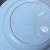 Series 6 tablespoons Plate Iron Earth