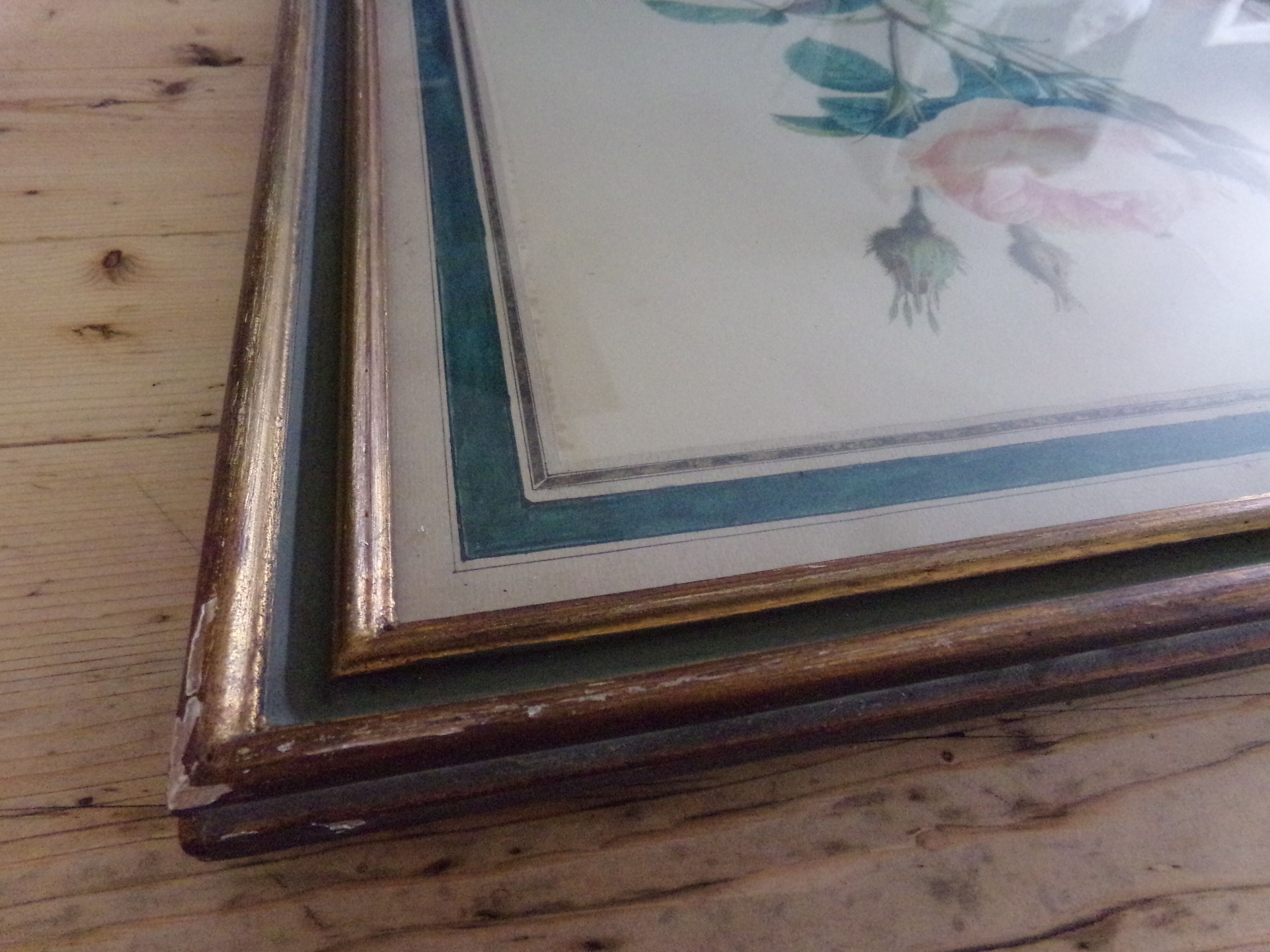 Framed antique lithograph by Pierre-Joseph Redouté