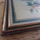 Framed antique lithograph by Pierre-Joseph Redouté