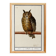 Small poster about the Eagle Owl, after an old engraving from 1610