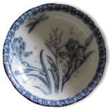 IRIS and dragonfly, beautiful!