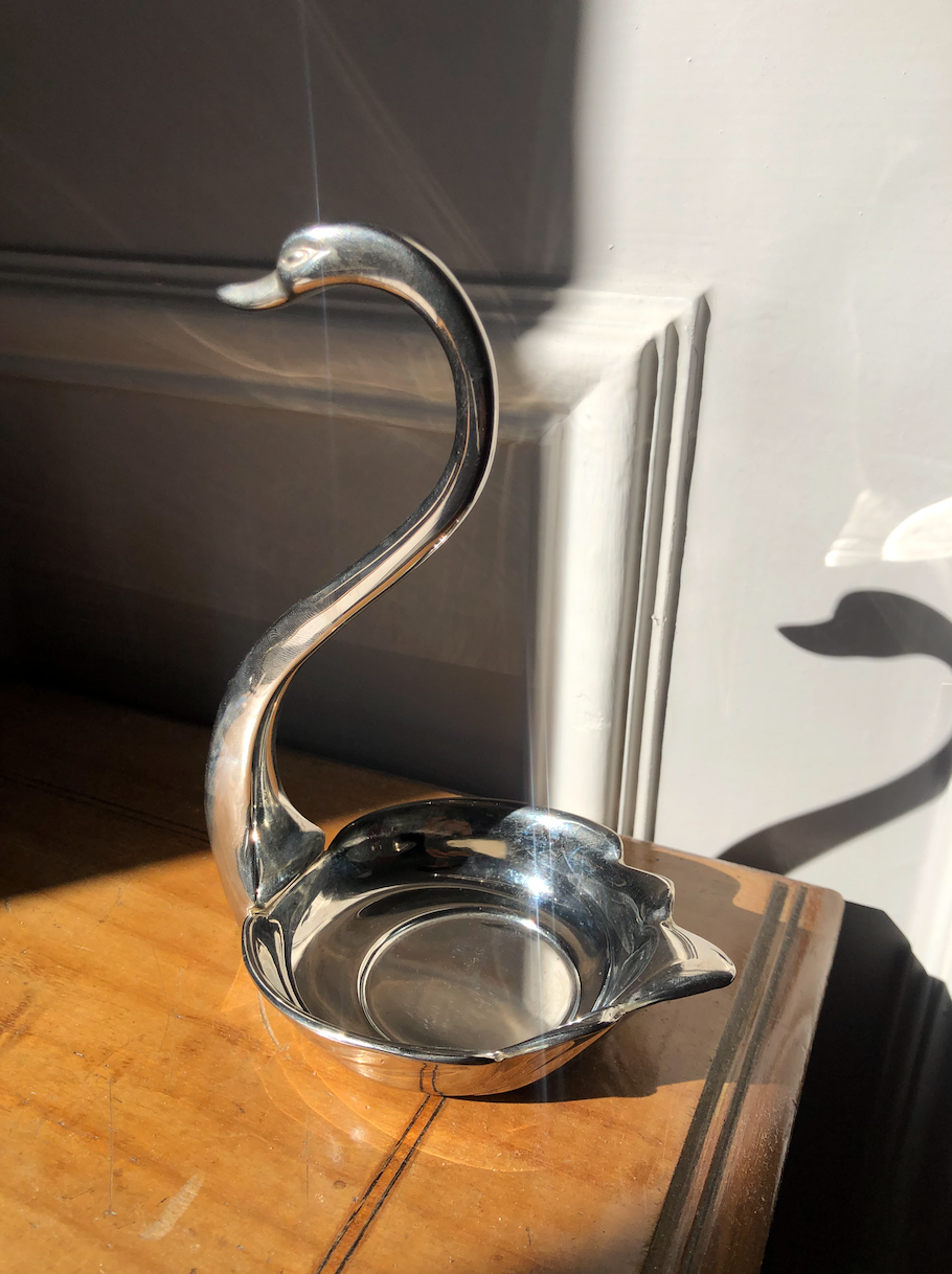 Empty silver swan pocket