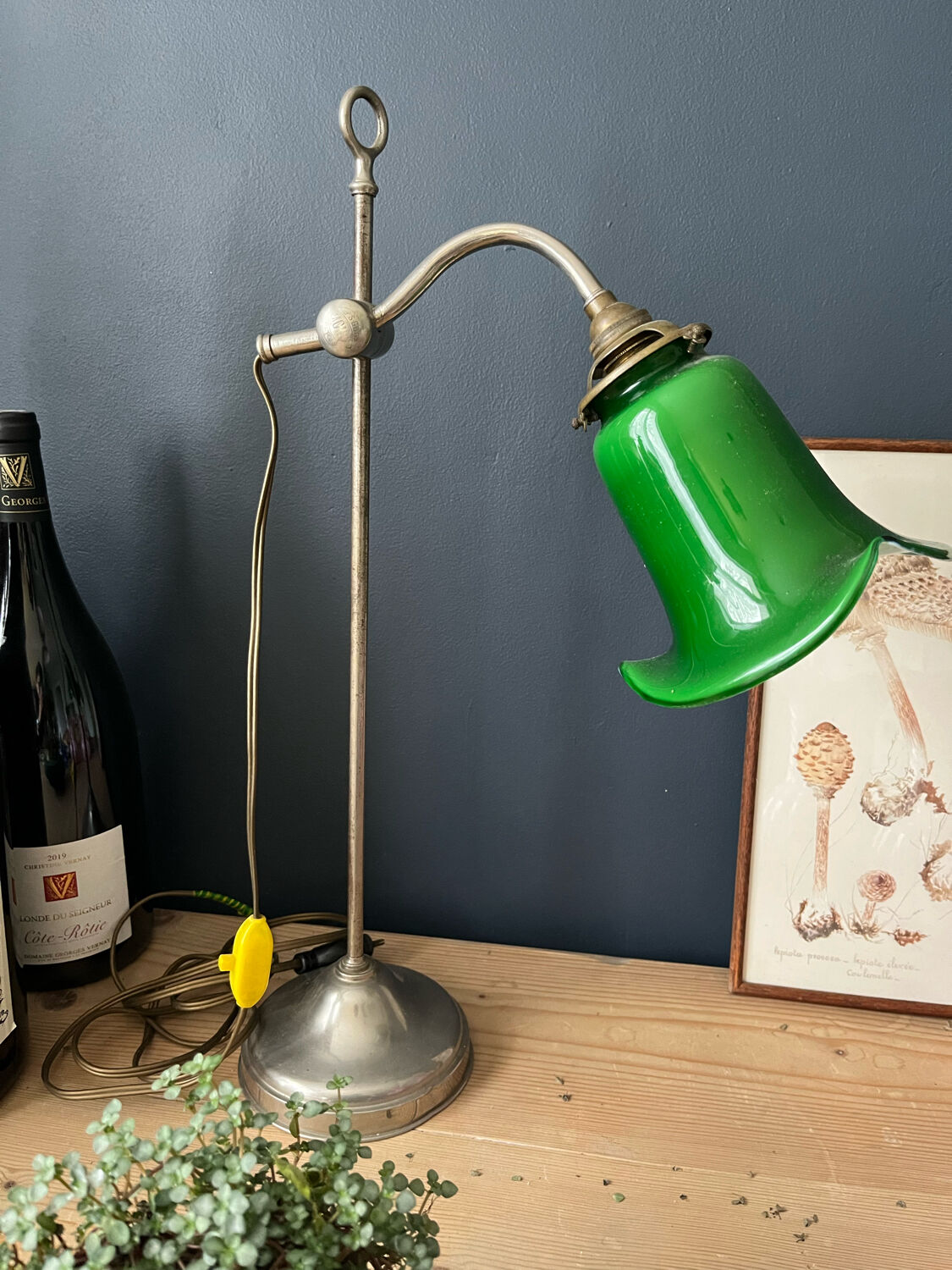 Desk lamp lampshade tulip