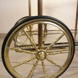 Mobile trolley - golden bar