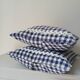Set of 2 vintage cushions, blue gingham