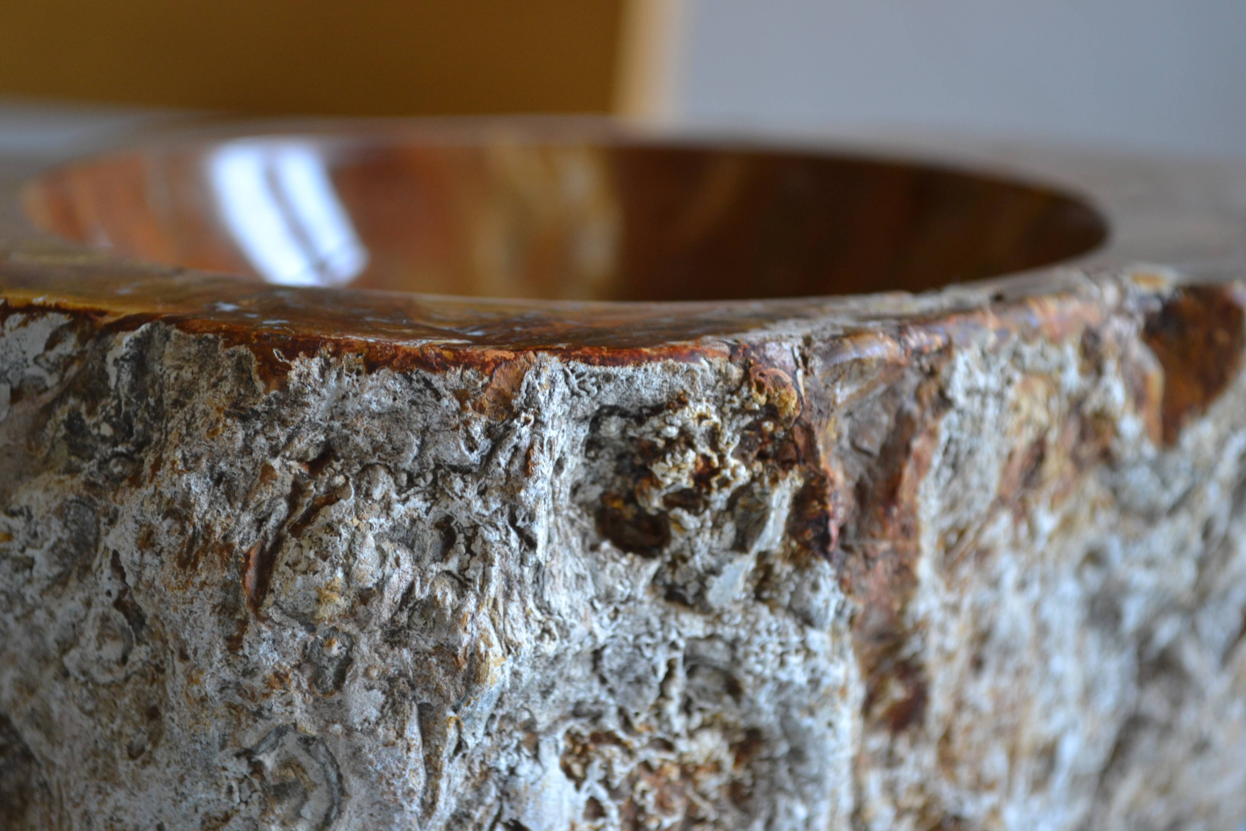 Empty pocket or ashtray in fossilized wood