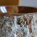 Empty pocket or ashtray in fossilized wood