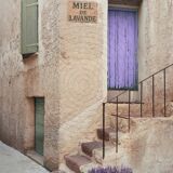 Photograph - "Lavender Honey"