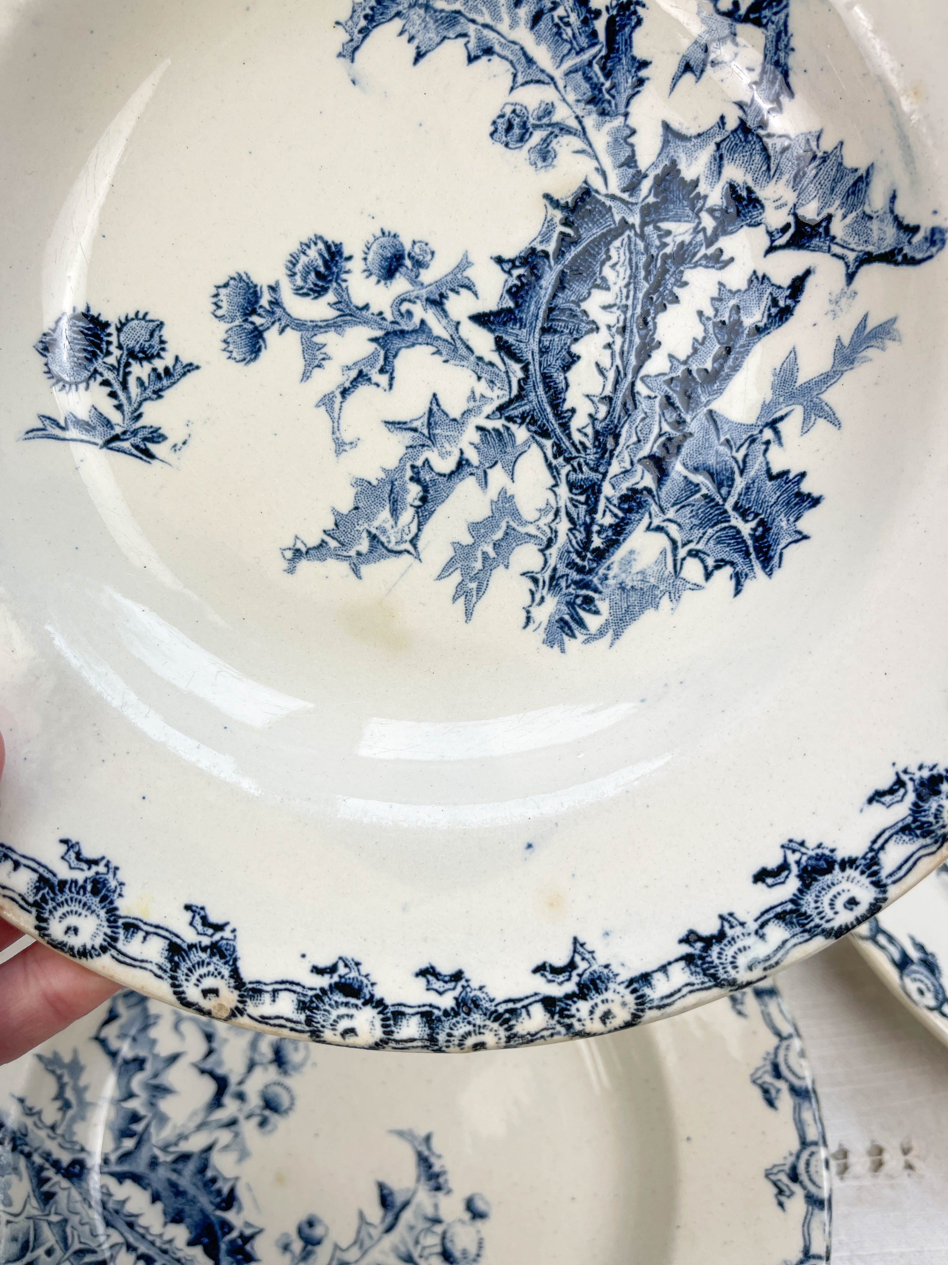 5 assiettes creuses terre de fer gien modèle chardons made in france