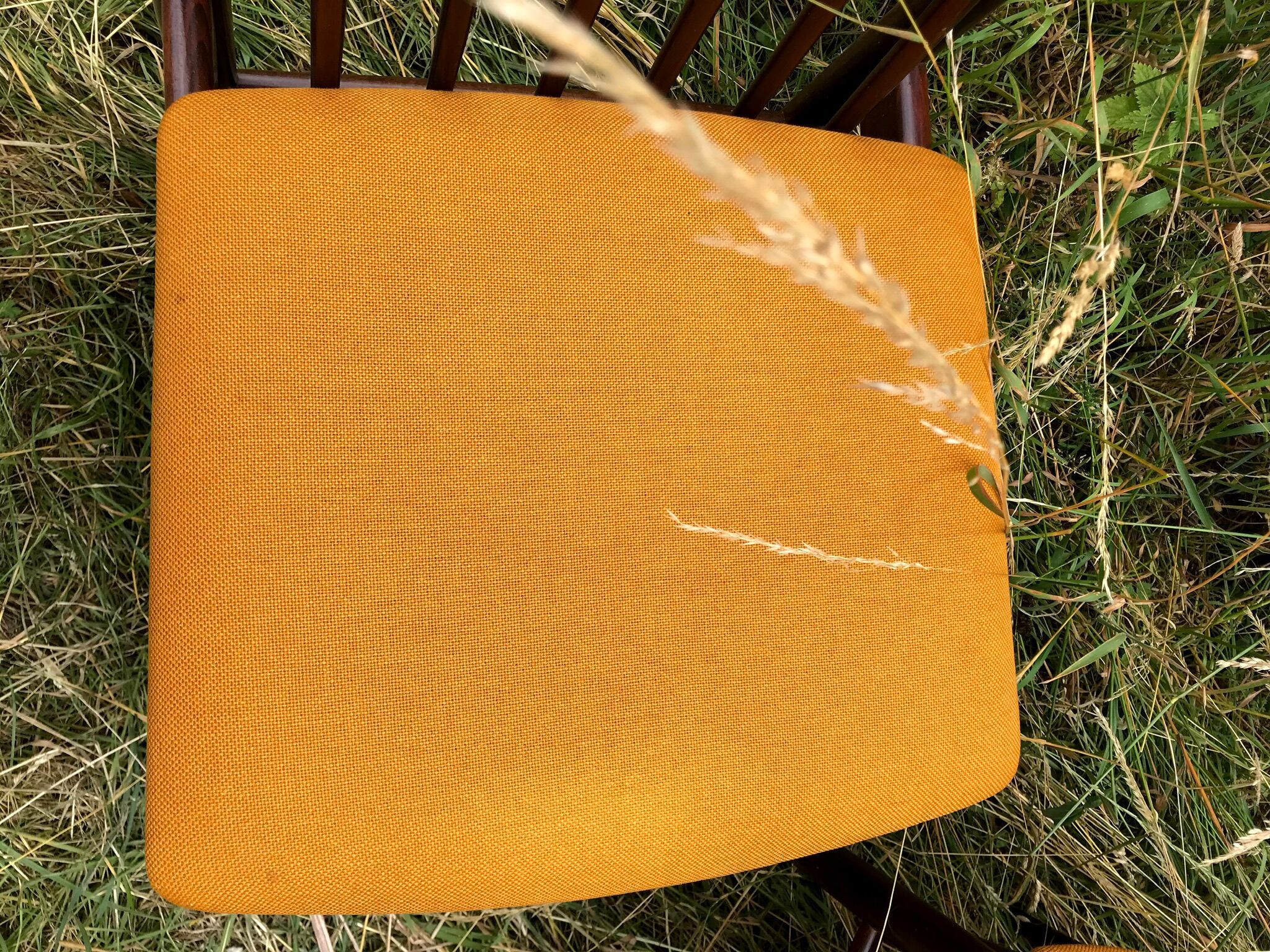 Mahogany chairs top vintage backrest 60s