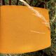 Mahogany chairs top vintage backrest 60s