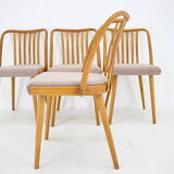 1970s Antonin Suman Set of 4 Oak Dining Chairs, Czechoslovakia