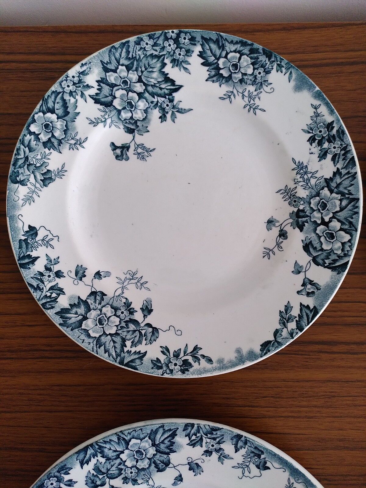 Set of flat and hollow plates in Terre de Fer Saint Amand & Hamage