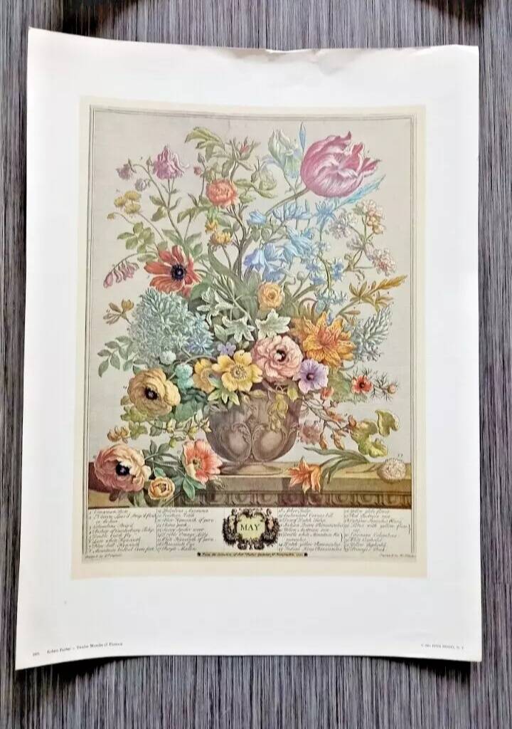 Lot of 19th century Floral Engravings - Vintage Art Print Flowers - 12 months - Robert Furber