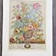 Lot of 19th century Floral Engravings - Vintage Art Print Flowers - 12 months - Robert Furber