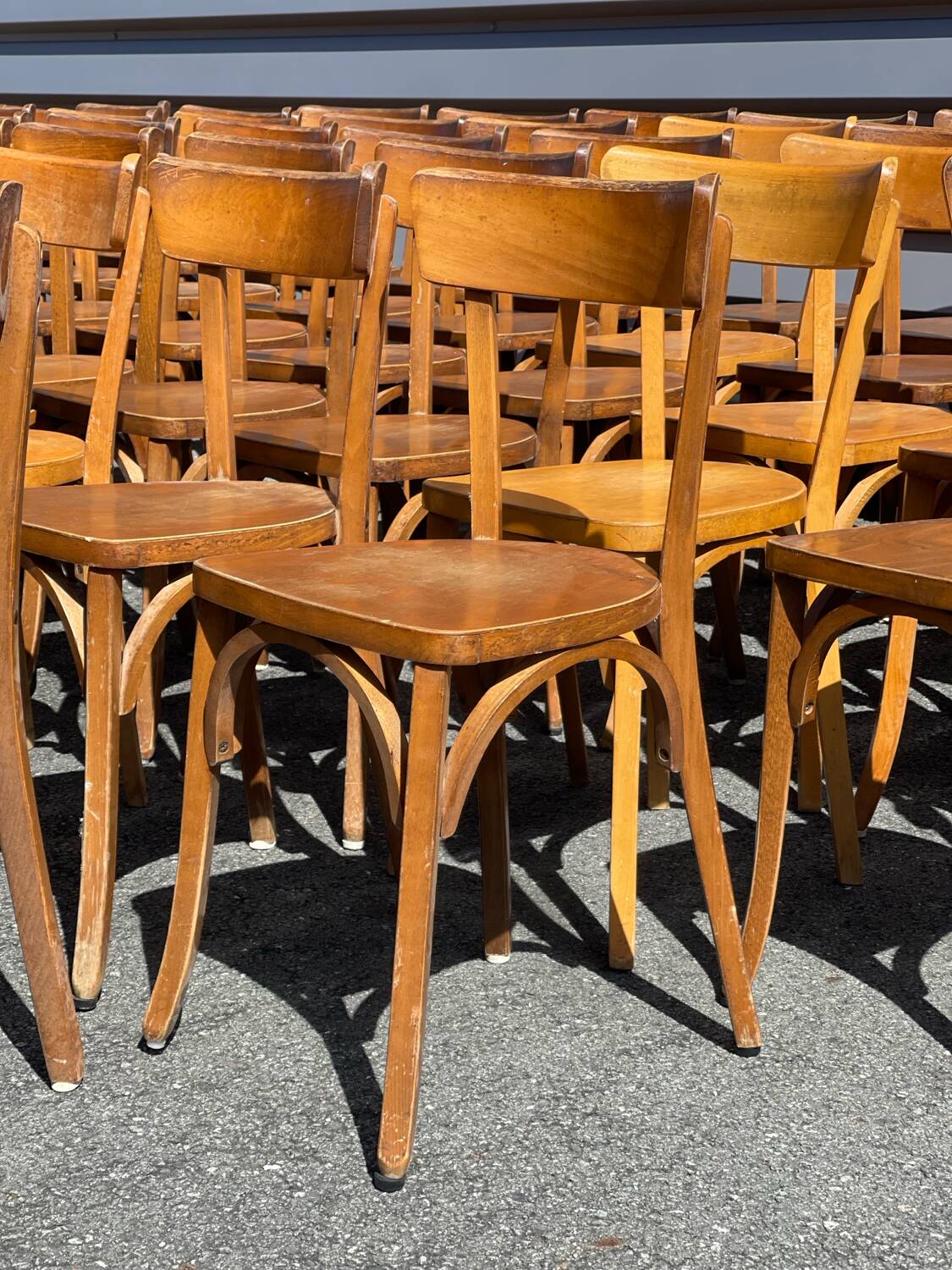 Lot of 60 wooden bistro chairs from the Baumann 1970s