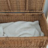 Rattan trunk
