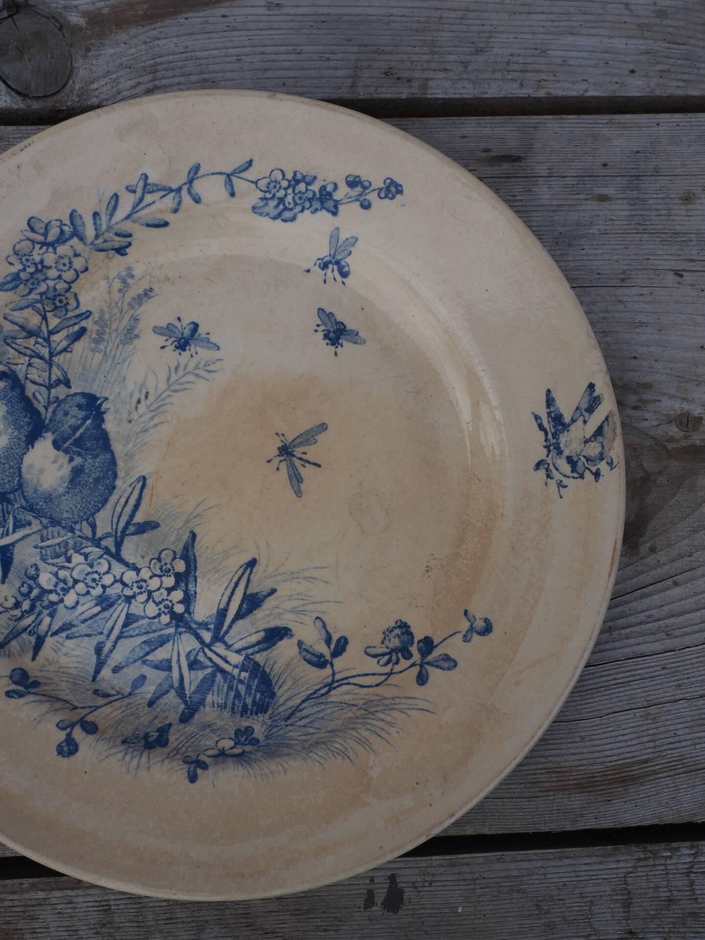 Plate dish Jules Vieillard, 1870