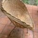 Rattan armchair vintage basket of the 50s
