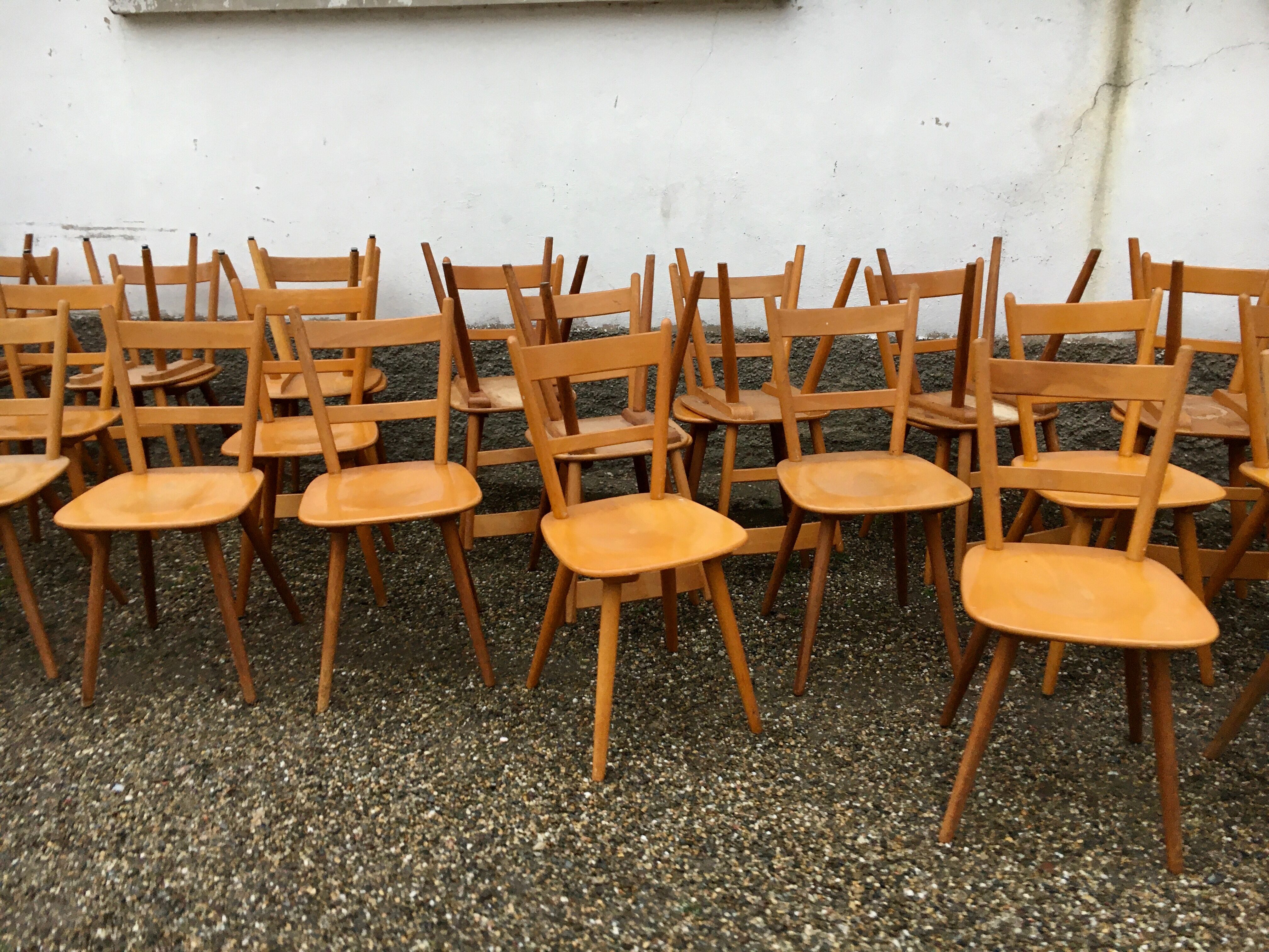 Série de 50 chaises  bistrot 1960