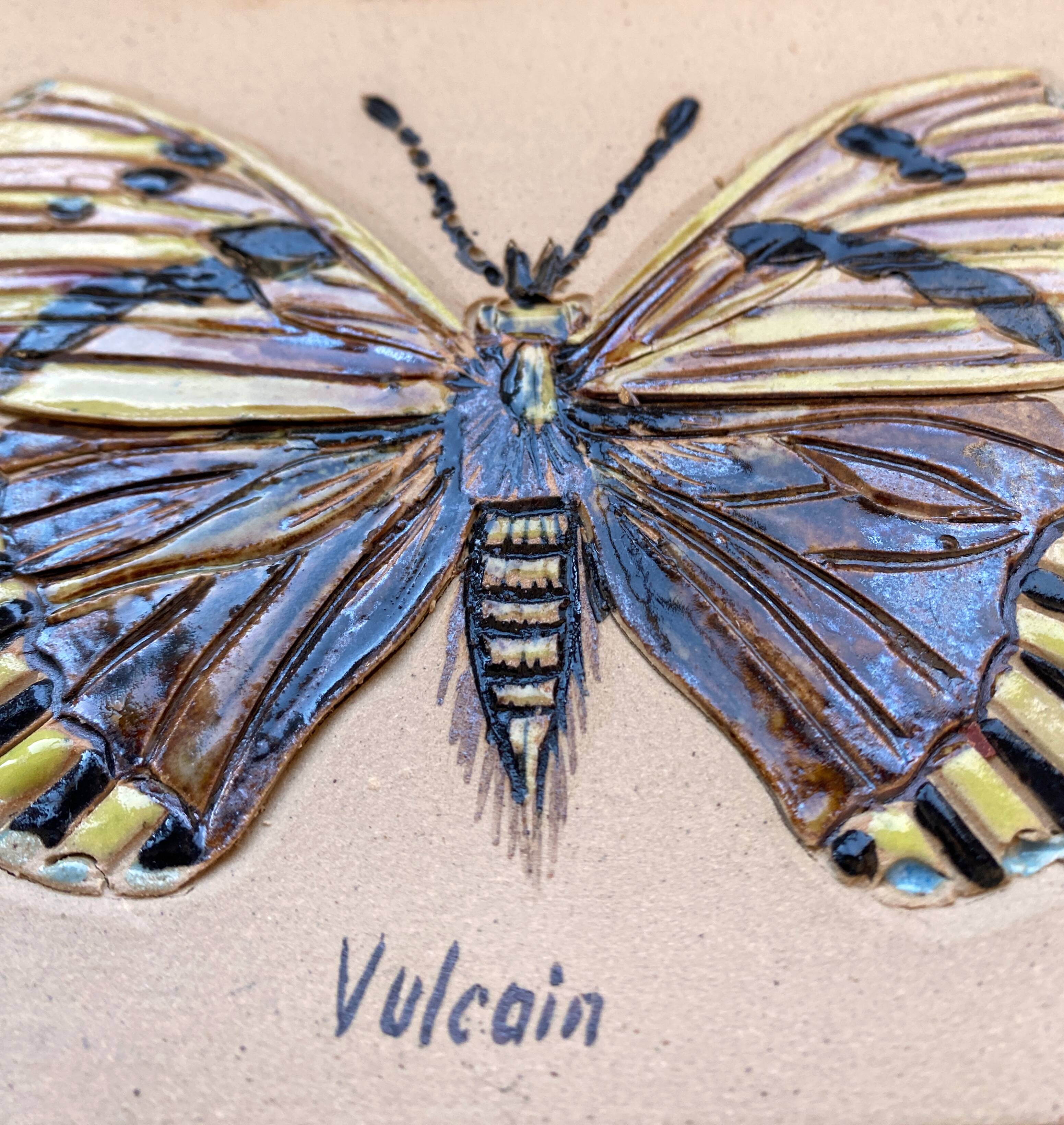 Bas relief painting / earth lepidopterology Butterflies A. Prudhomme Curiosity cabinet