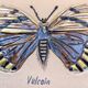 Bas relief painting / earth lepidopterology Butterflies A. Prudhomme Curiosity cabinet