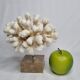 Old white coral on marble base, 20 cm