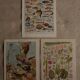 Set of 3 original lithographs on fish, algae and oceanography