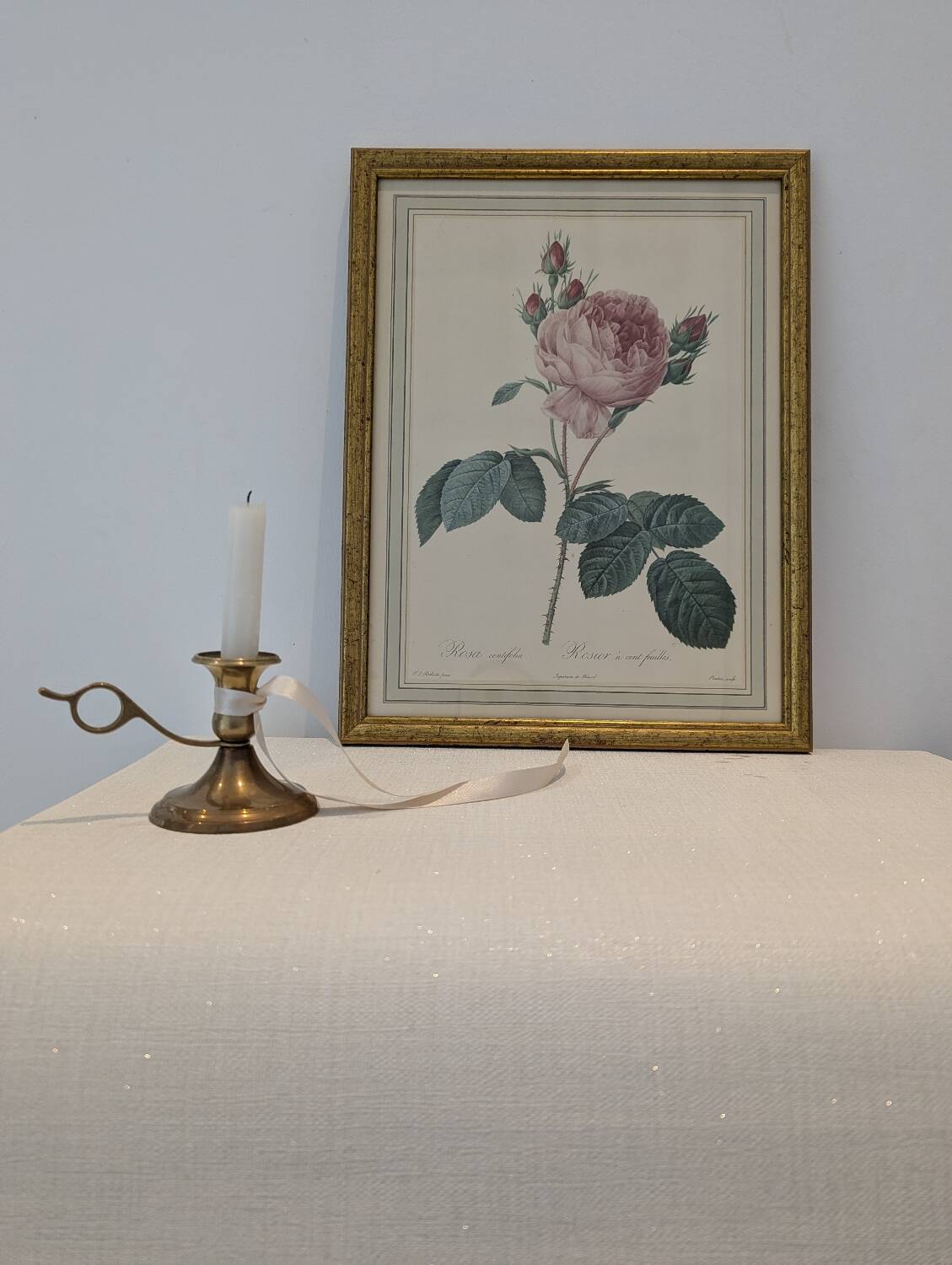 Botanical plate PJ Redouté