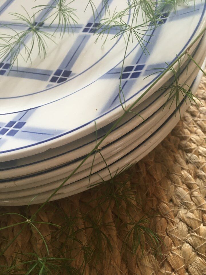 Flat plates "Sarreguemines" with blue checkered