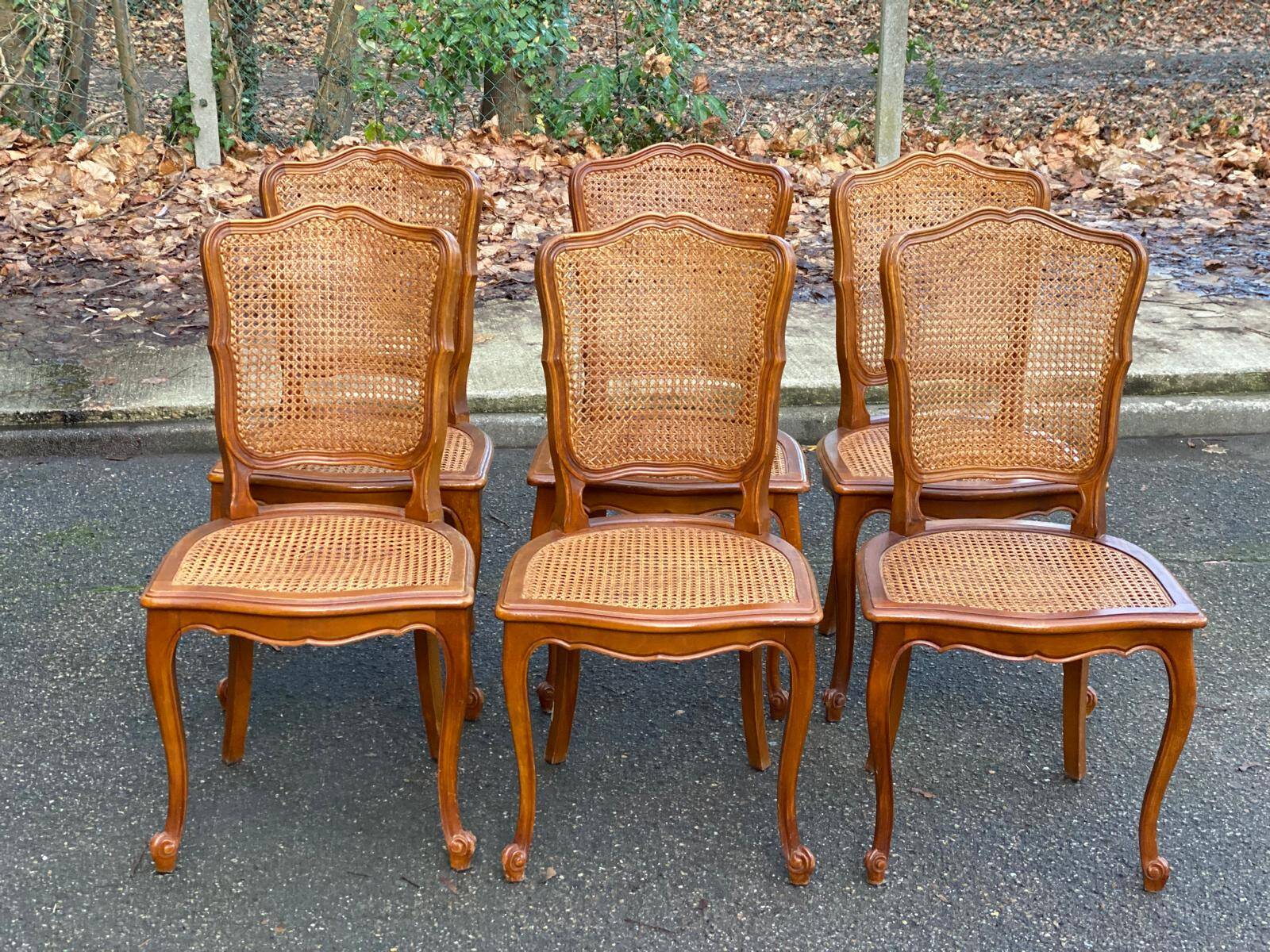 6 Louis XV cane chairs in solid wood from the 1950s