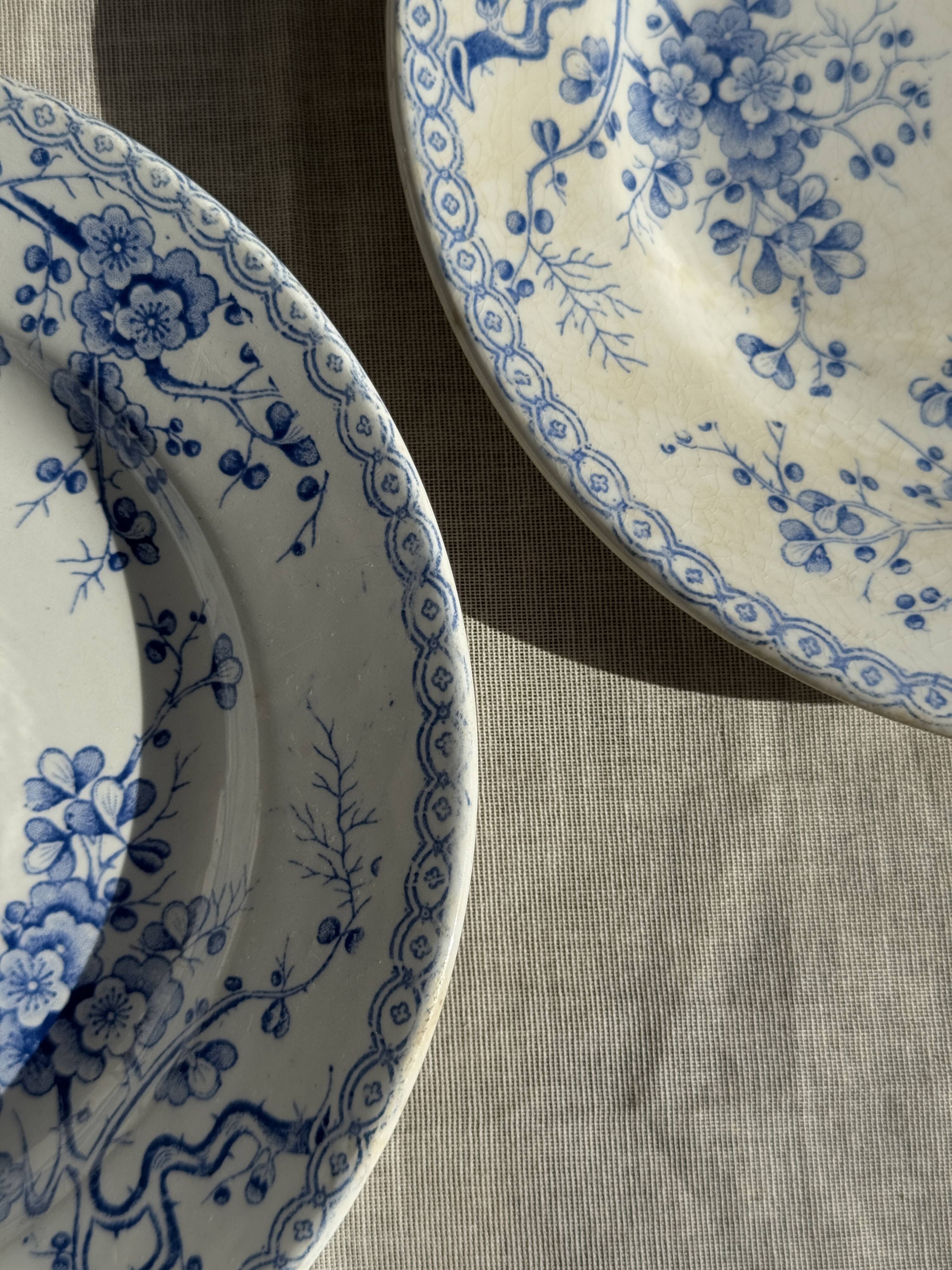 Set of 3 blue plates from Gien pottery, Fleurette model, D22.5.
