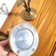 Pair of brass candlesticks with plant decoration
