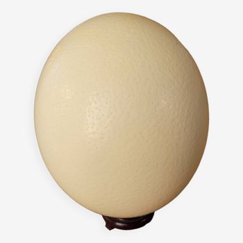 Large emptied Ostrich Egg.