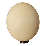 Grand Œuf d’Autruche vidé