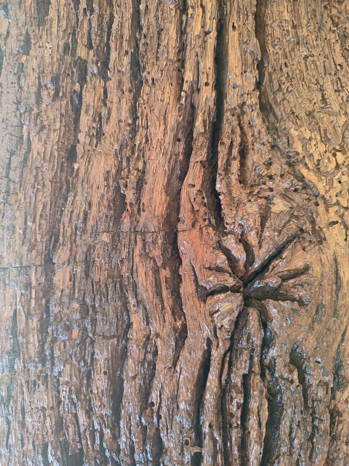 Century-old solid oak bench