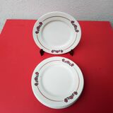 6 flat plates salty iron earth