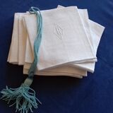 12 napkins