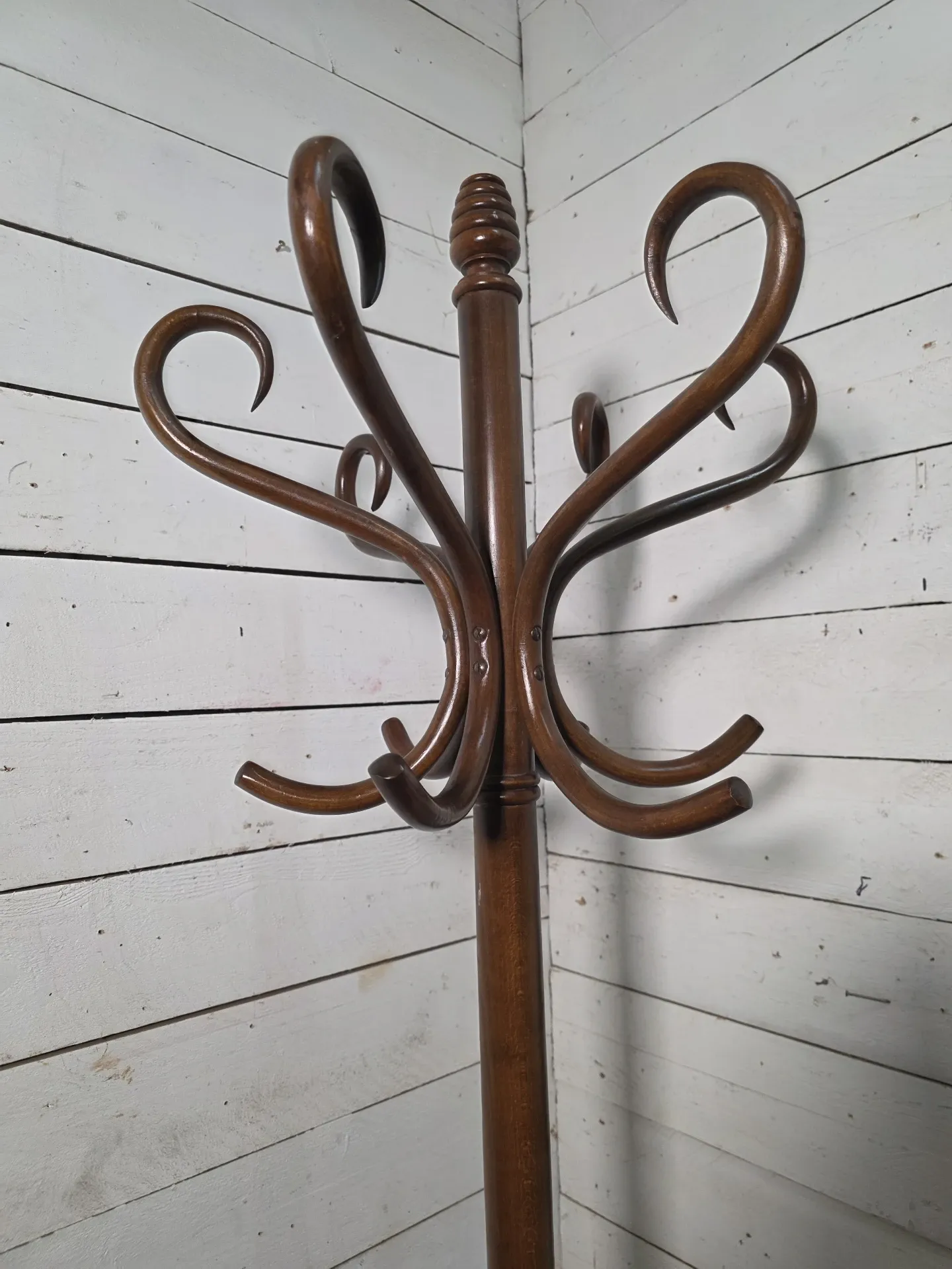Curved antique wooden parrot