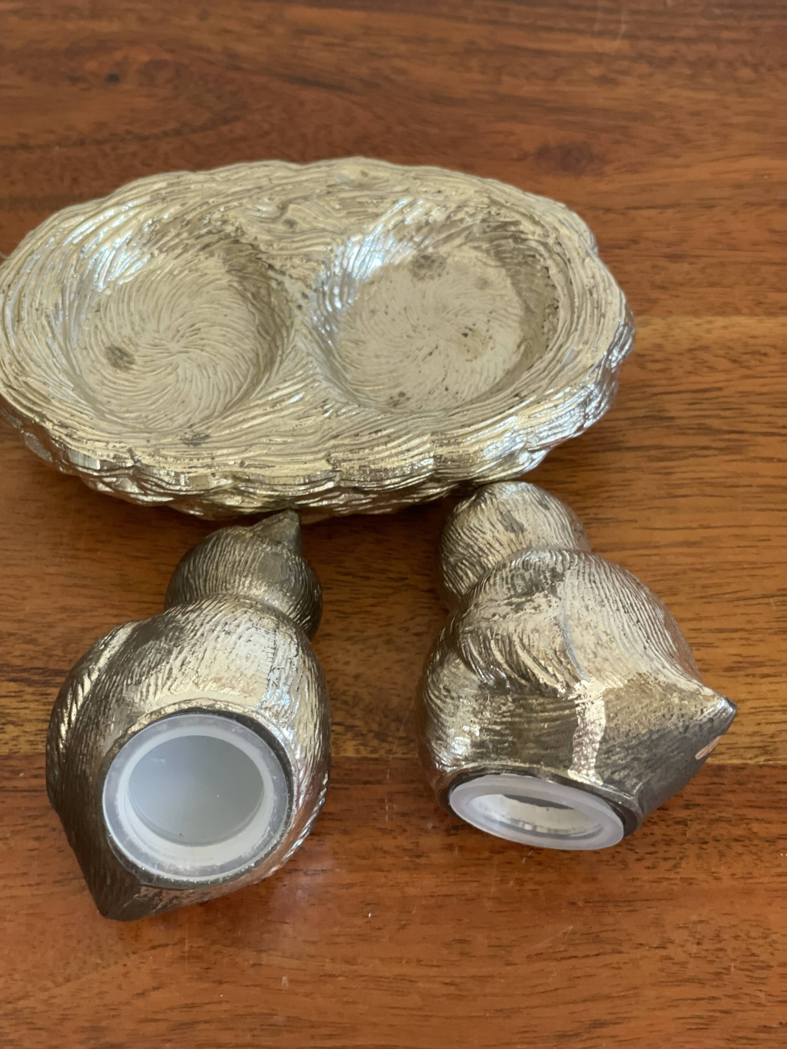 Salt pepper birds in their nest