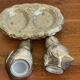 Salt pepper birds in their nest