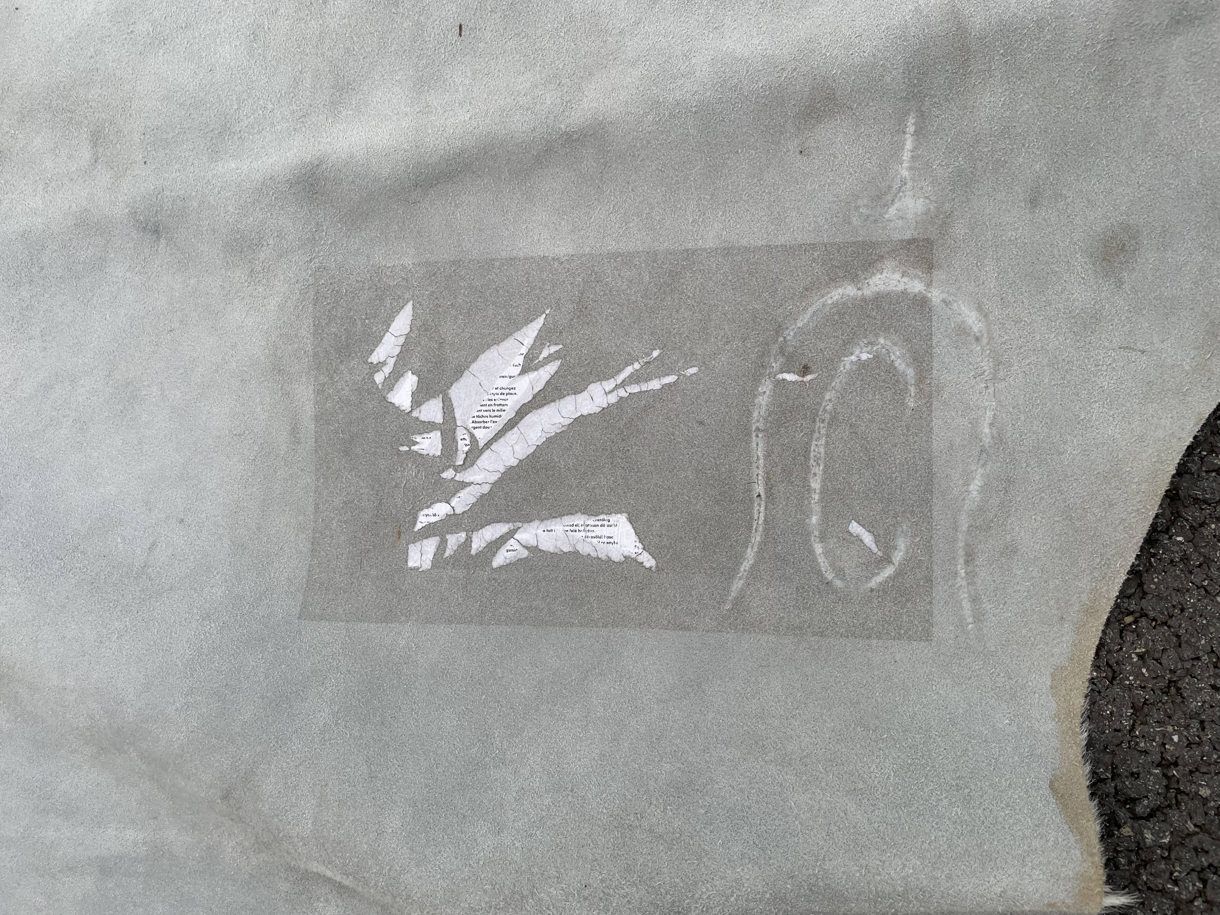 Cowhide mat 210x250cm