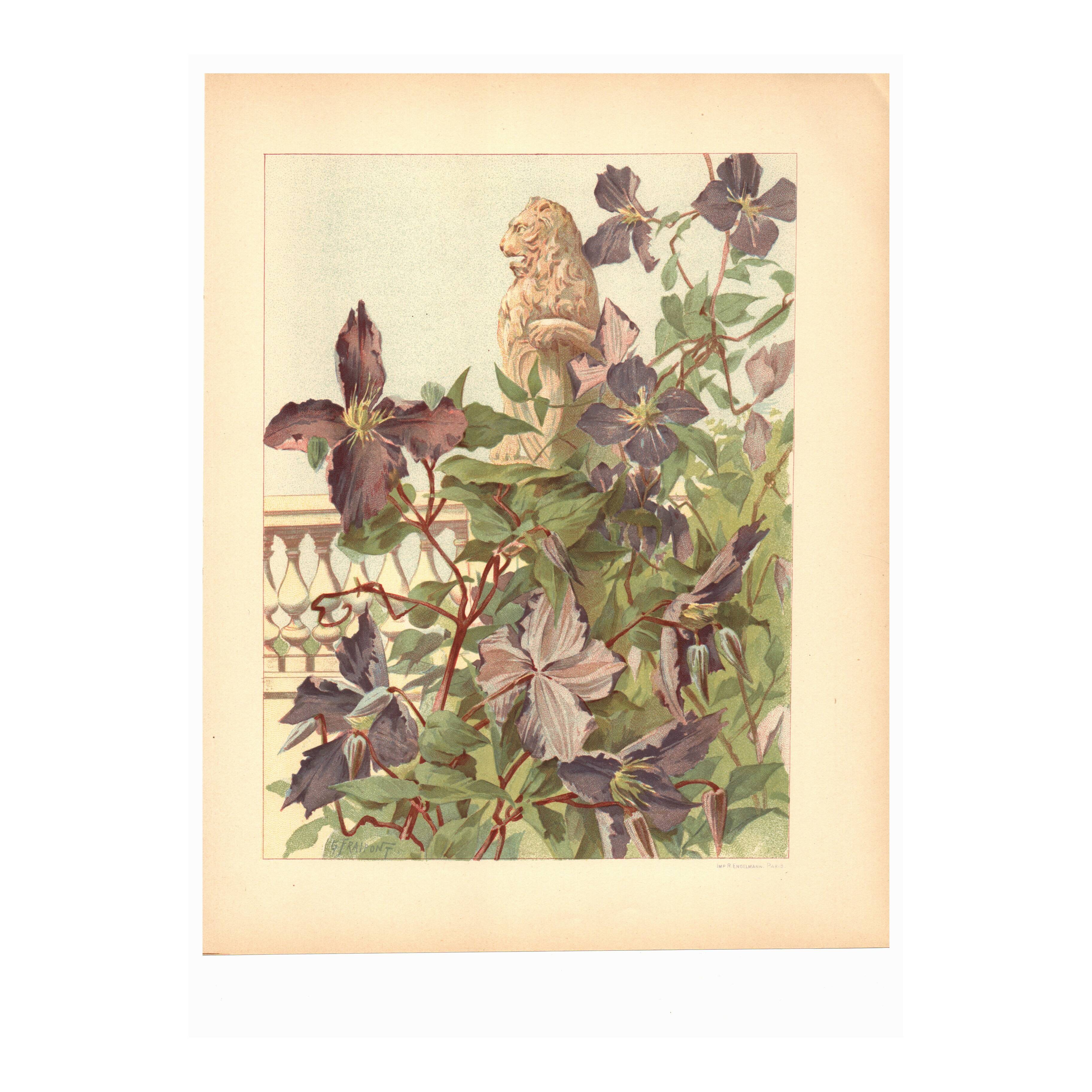 Art Nouveau engraving 1896 - Clematis and lion statue - Illustration