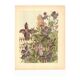 Art Nouveau engraving 1896 - Clematis and lion statue - Illustration